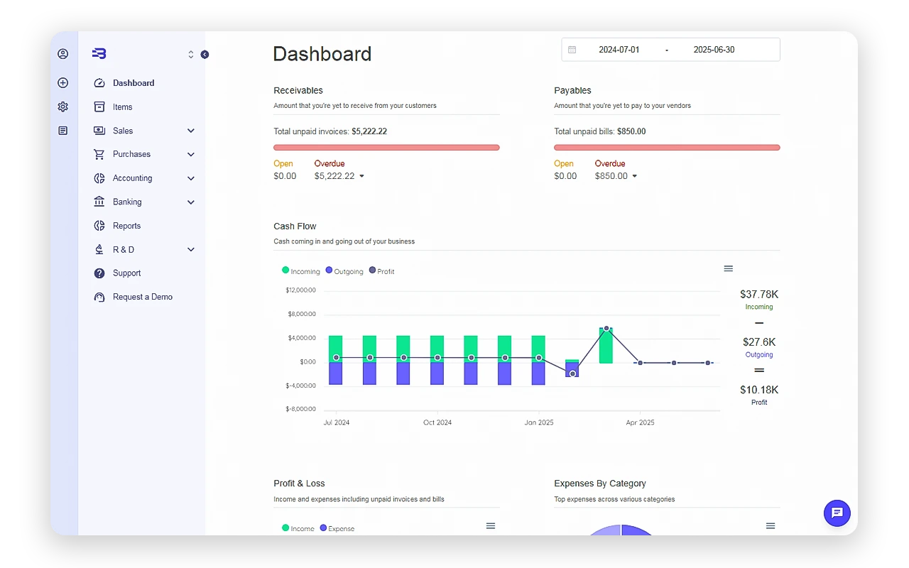 Professional woman showcasing financial dashboard